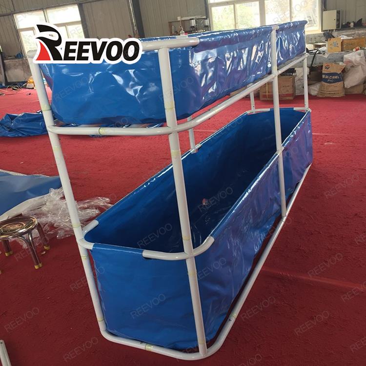 аквариум fish tank