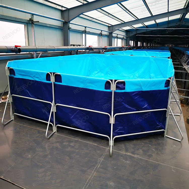 fish farming tank